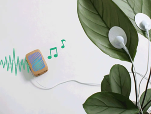 Music from Plants